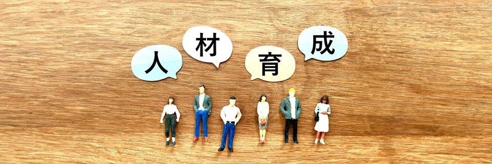 人材育成とは？目的・考え方、課題などまとめて解説